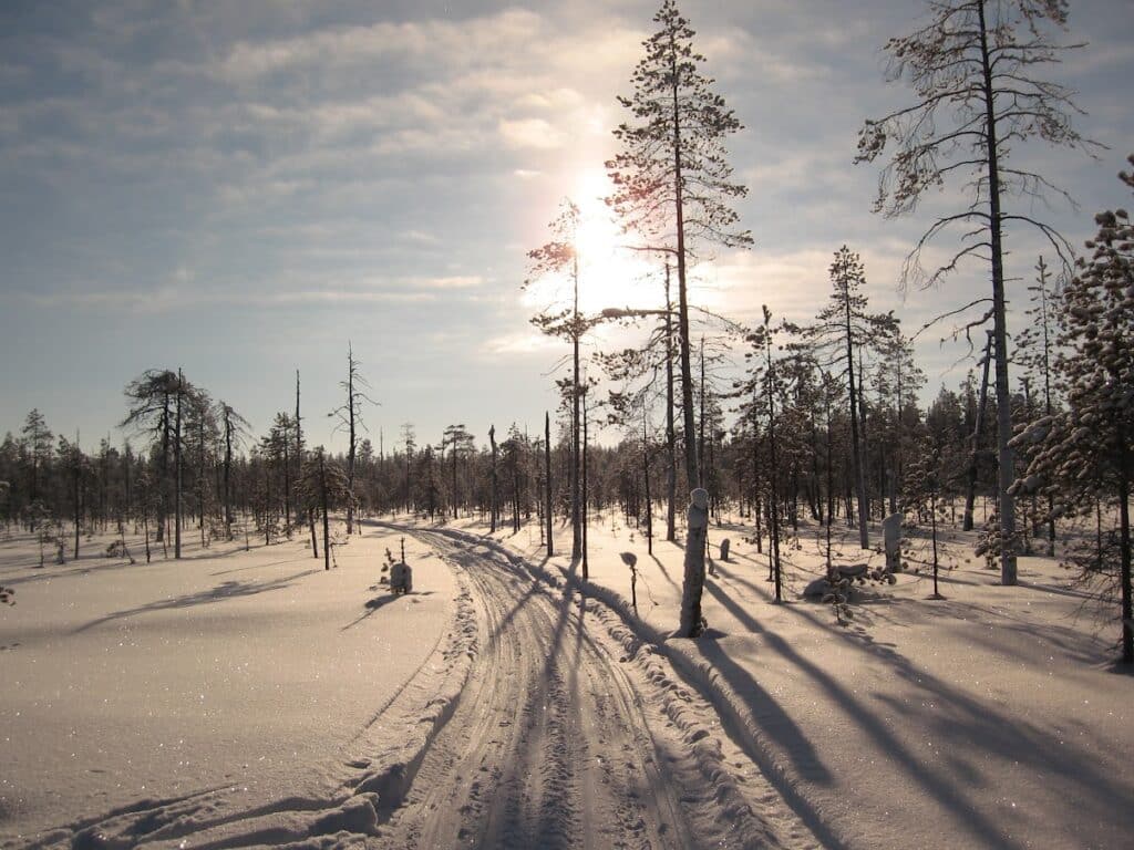 Langlauf Norwegen - Auf der Troll-Loipe bis Lillehammer - wanderlich.com