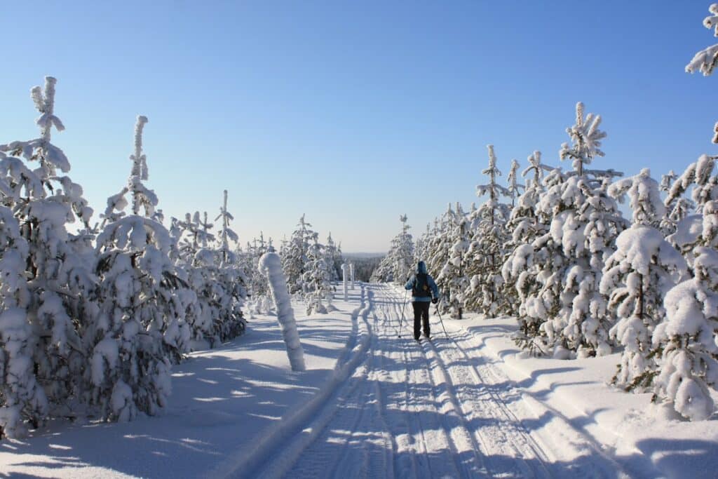 Langlauf Norwegen - Auf der Troll-Loipe bis Lillehammer - wanderlich.com