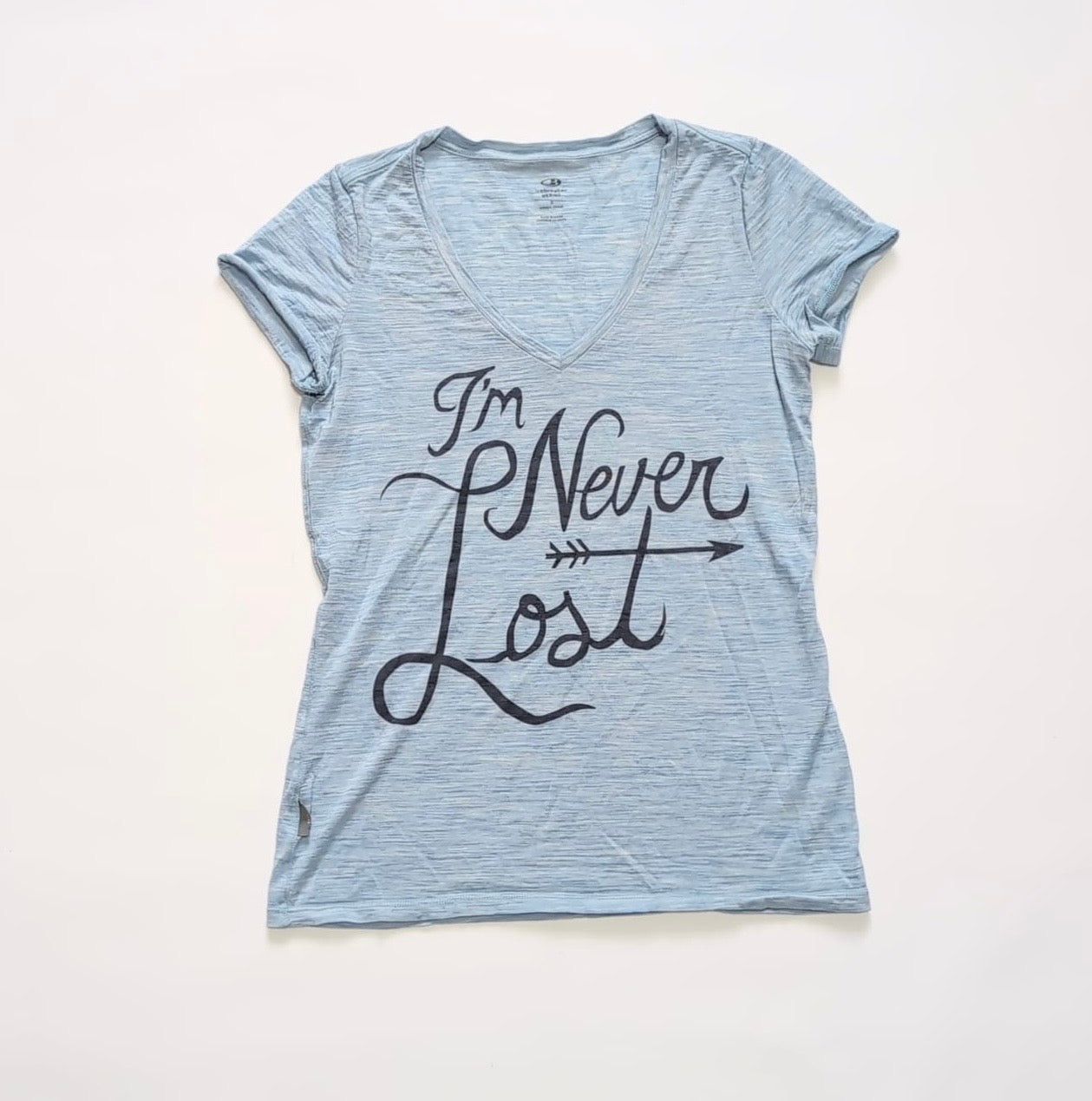 T-Shirt von Icebreaker Merino (S Damen) blau mit Print