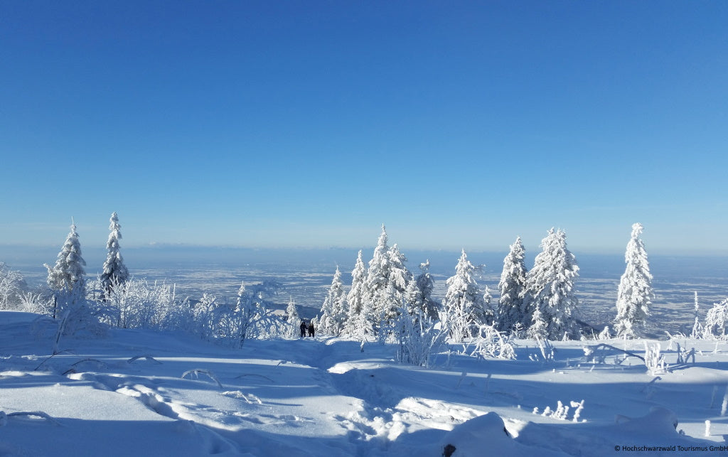 Langlauf Schwarzwald - fünf romantische Schnuppertage am Notschrei-Massiv - wanderlich.com