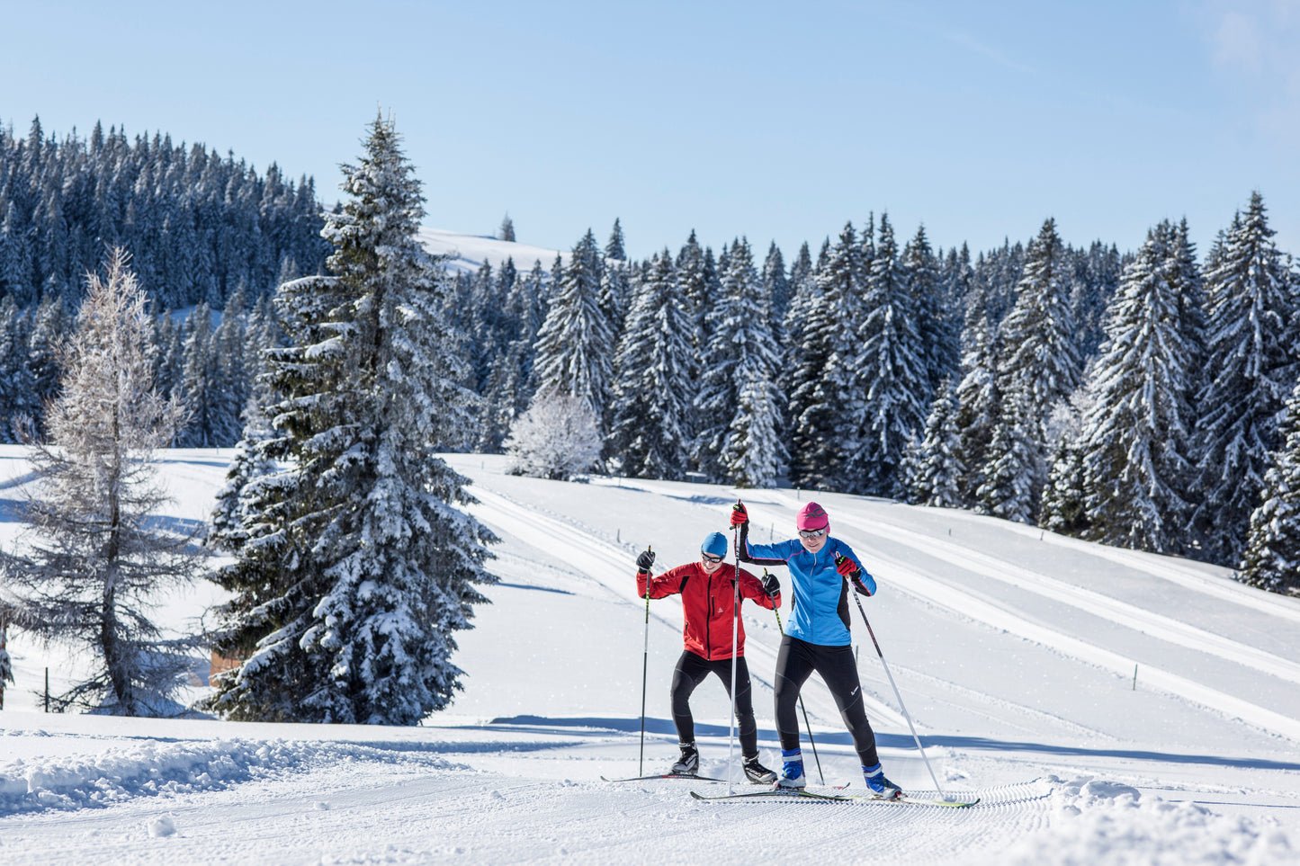 Langlauf Schwarzwald - fünf romantische Schnuppertage am Notschrei-Massiv - wanderlich.com