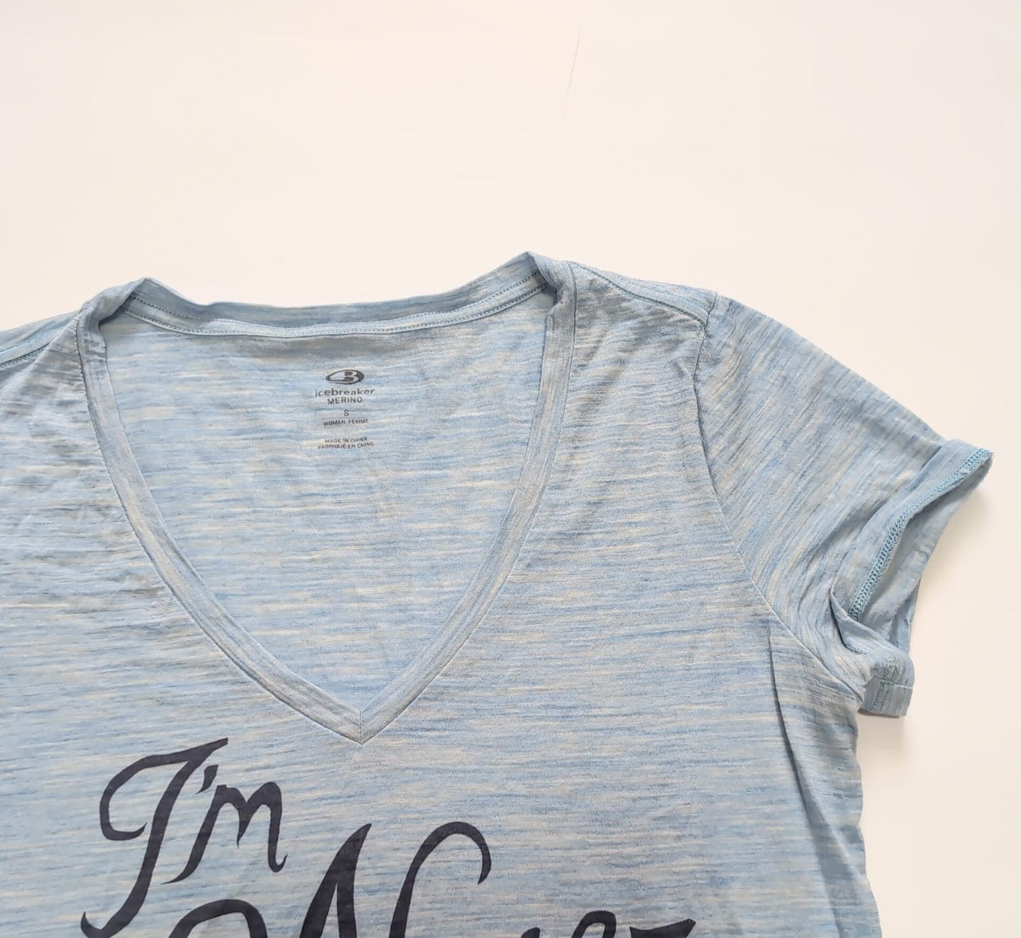 T-Shirt von Icebreaker Merino (S Damen) blau mit Print