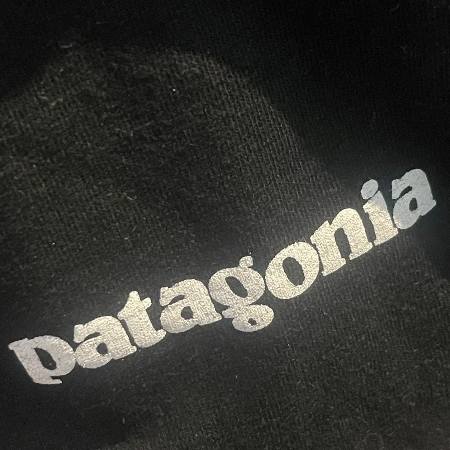 Patagonia T-Shirt (L Herren) Organic Cotton schwarz mit Backprint