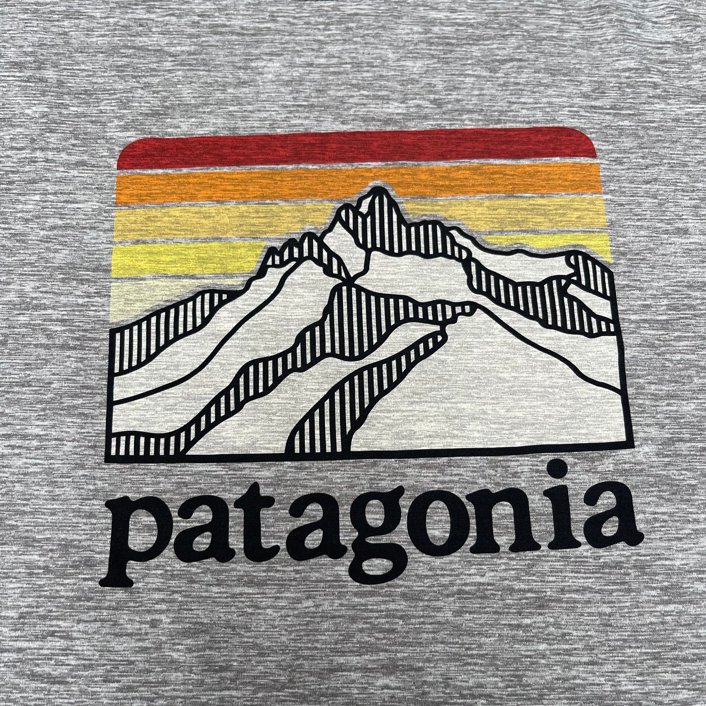 Longsleeve Patagonia S (Unisex) grau mit Print