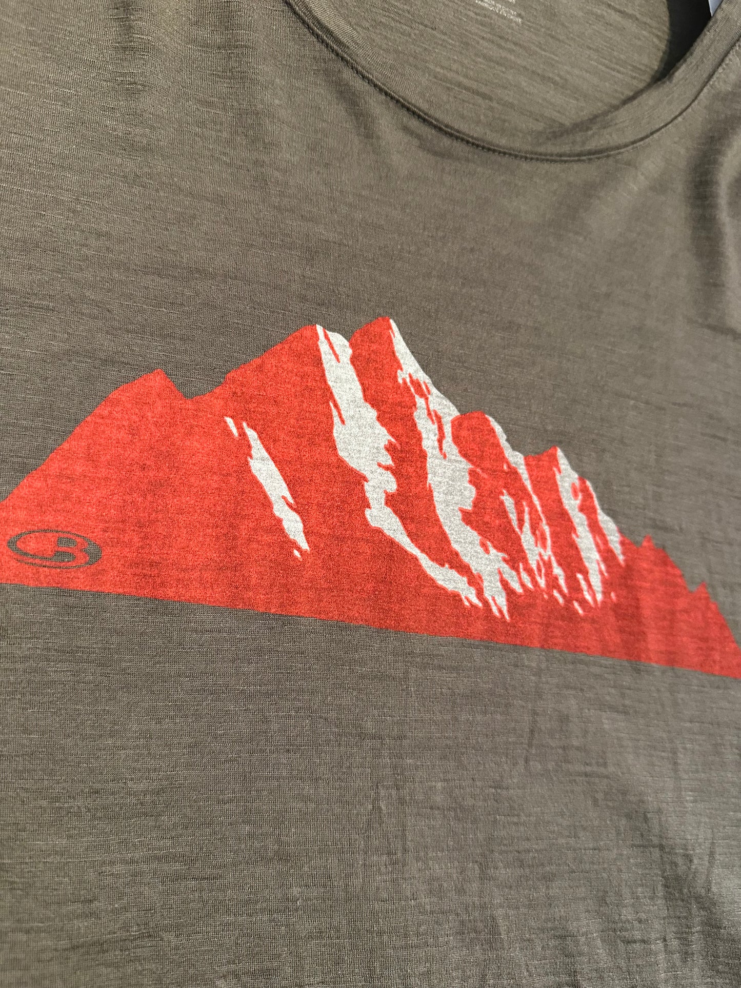 100% Merino Longsleeve Icebreaker (L Herren) braun Print - wanderlich.com