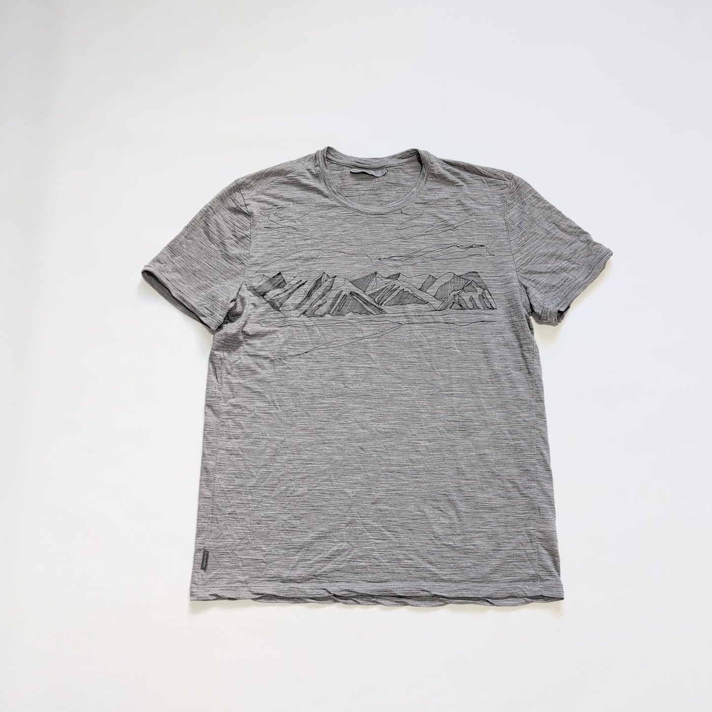 Merino T-Shirt von Icebreaker (L Herren) grau mit Print