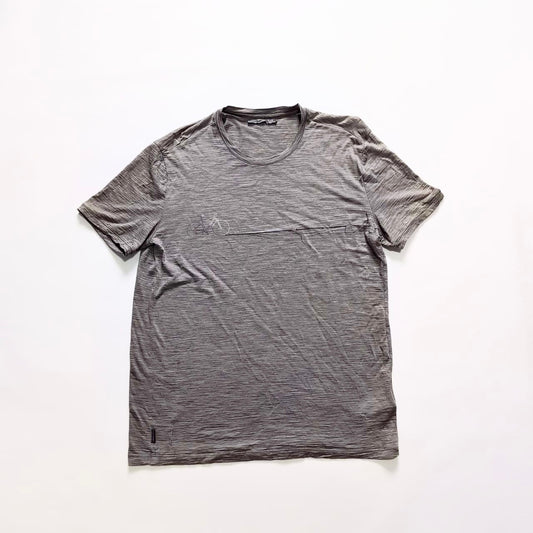 Merino T-Shirt von Icebreaker (M Herren) grau Print Rad