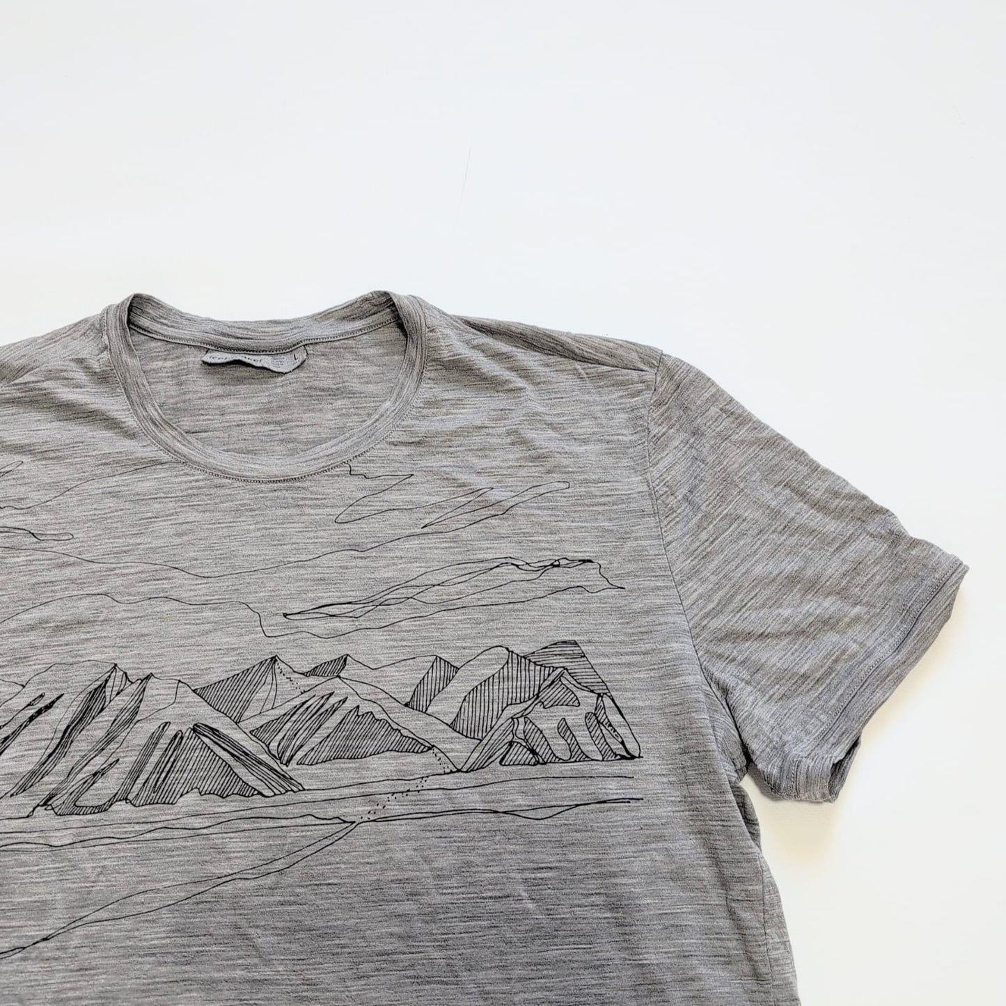 Merino T-Shirt von Icebreaker (L Herren) grau mit Print