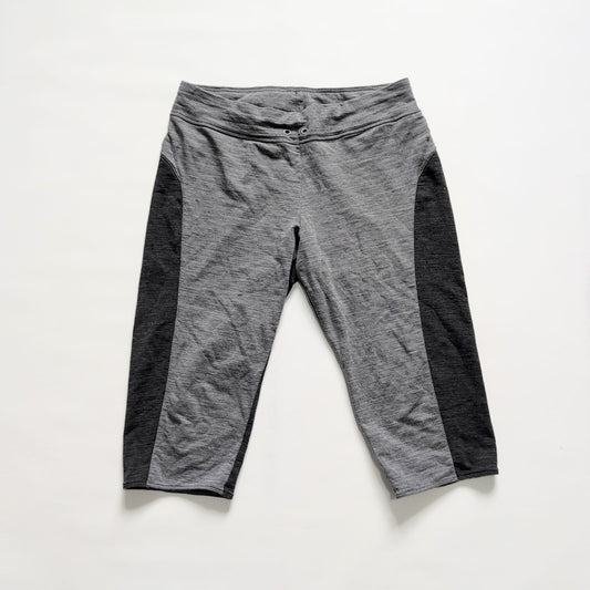 2/3 Merino Hose von Icebreaker 260 (M / L Damen) grau