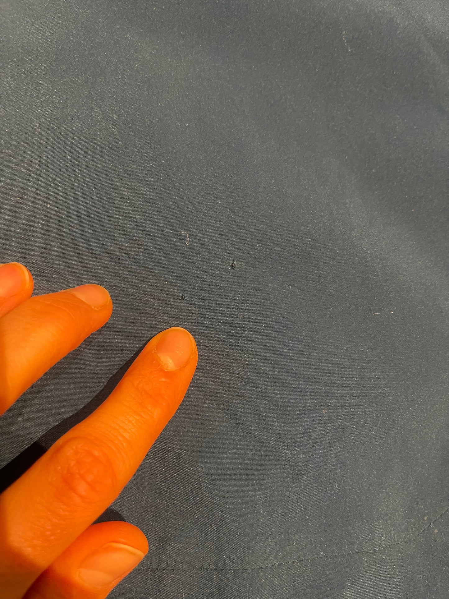 Leichte Hardshell Jacke von Mammut Goretex (L Herren) blau