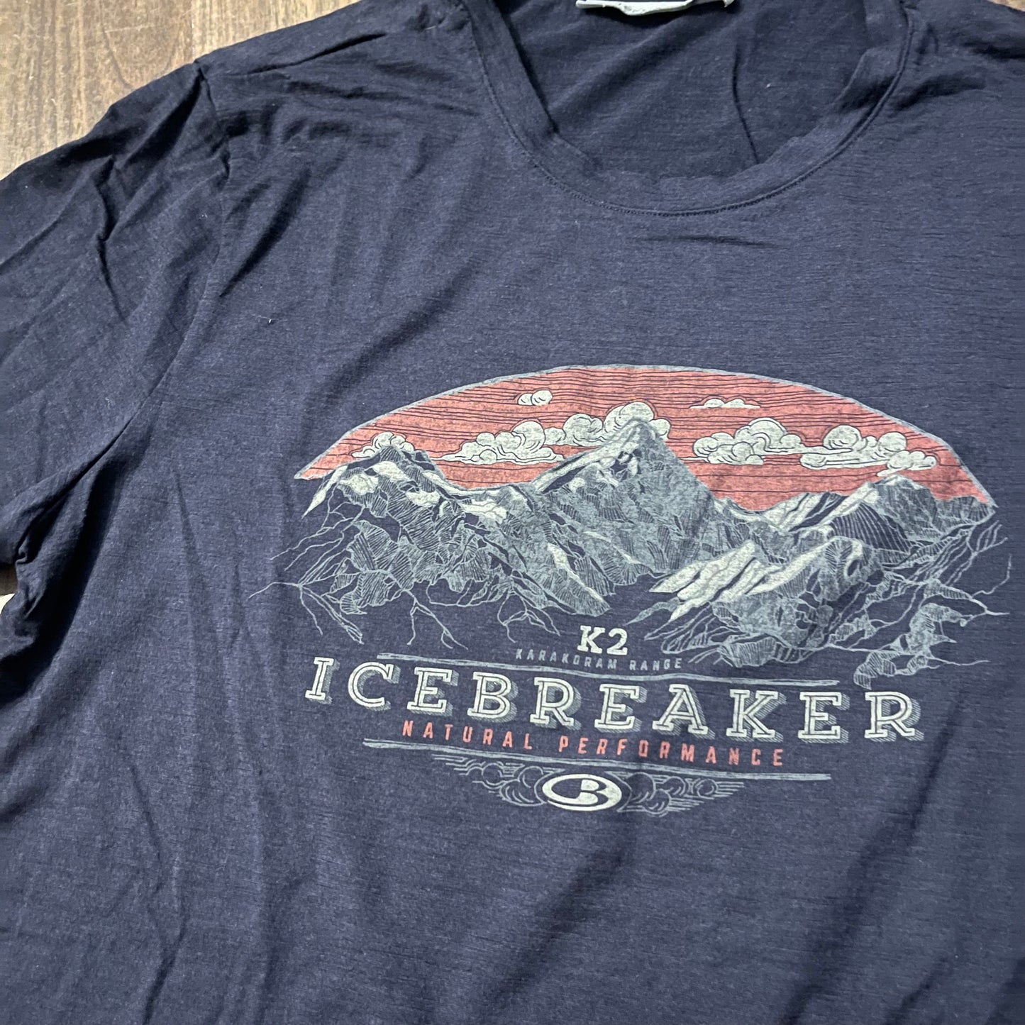 Merino T-Shirt von Icebreaker (S bis M Herren) dunkelblau Print Berge