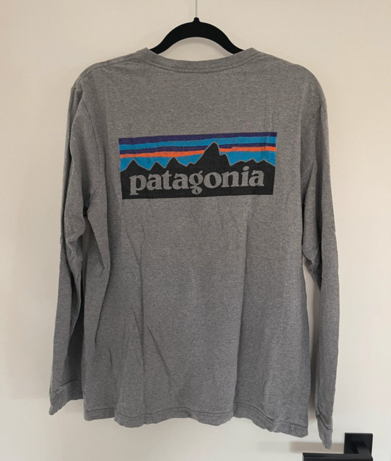 Longsleeve Patagonia M (Herren) Funktionsshirt grau Backprint