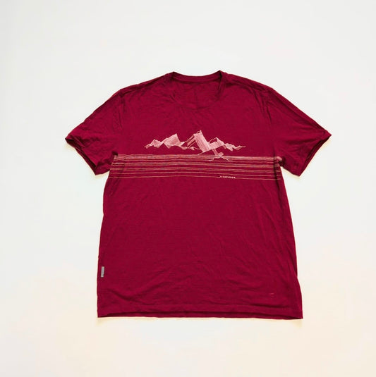 Merino T-Shirt von Icebreaker (L Herren) rot mit Print