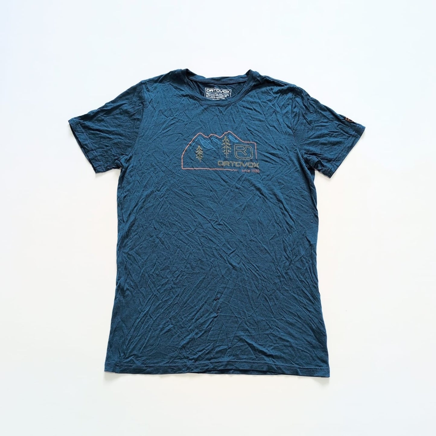 Merino T-Shirt von Ortovox (M Herren) blau mit Print