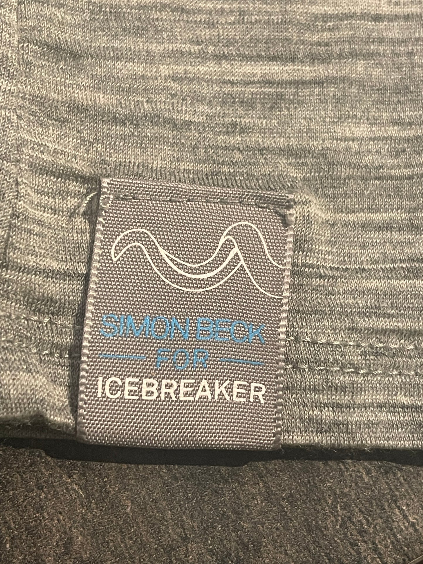 T-Shirt von Icebreaker Merino XS grau mit Künstlerprint