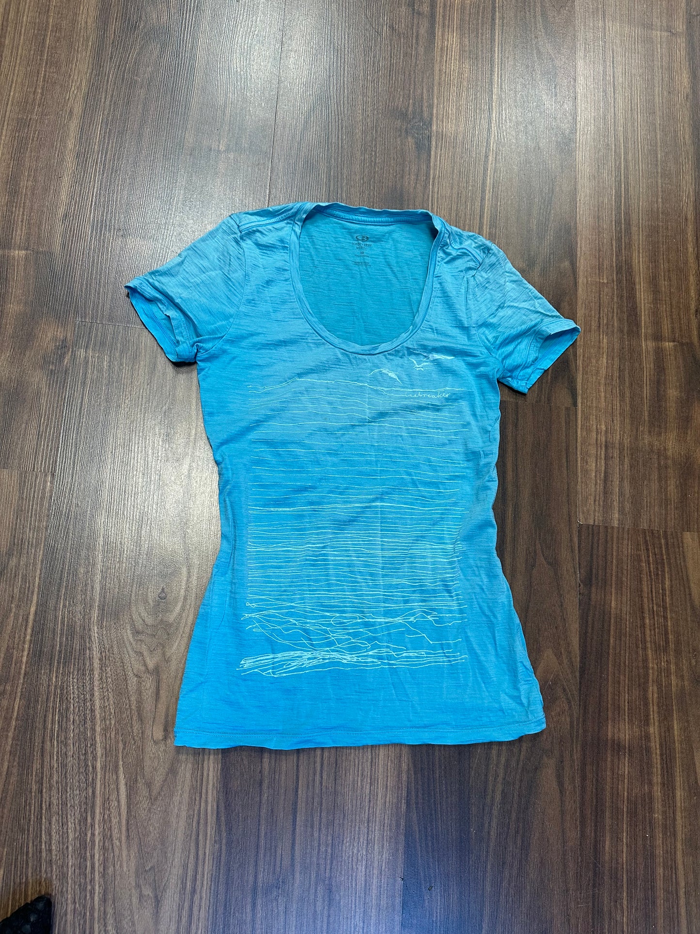 T-Shirt von Icebreaker Merino (XS /S Damen) blau mit Print
