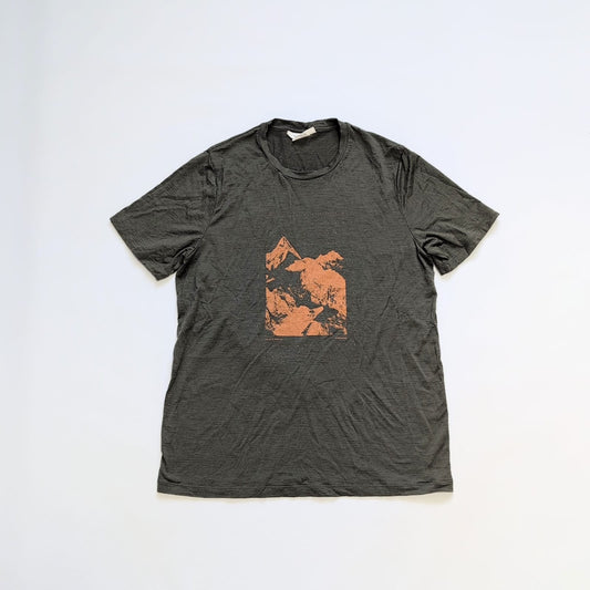 Merino T-Shirt von Icebreaker 150 (M Herren) khaki mit Print