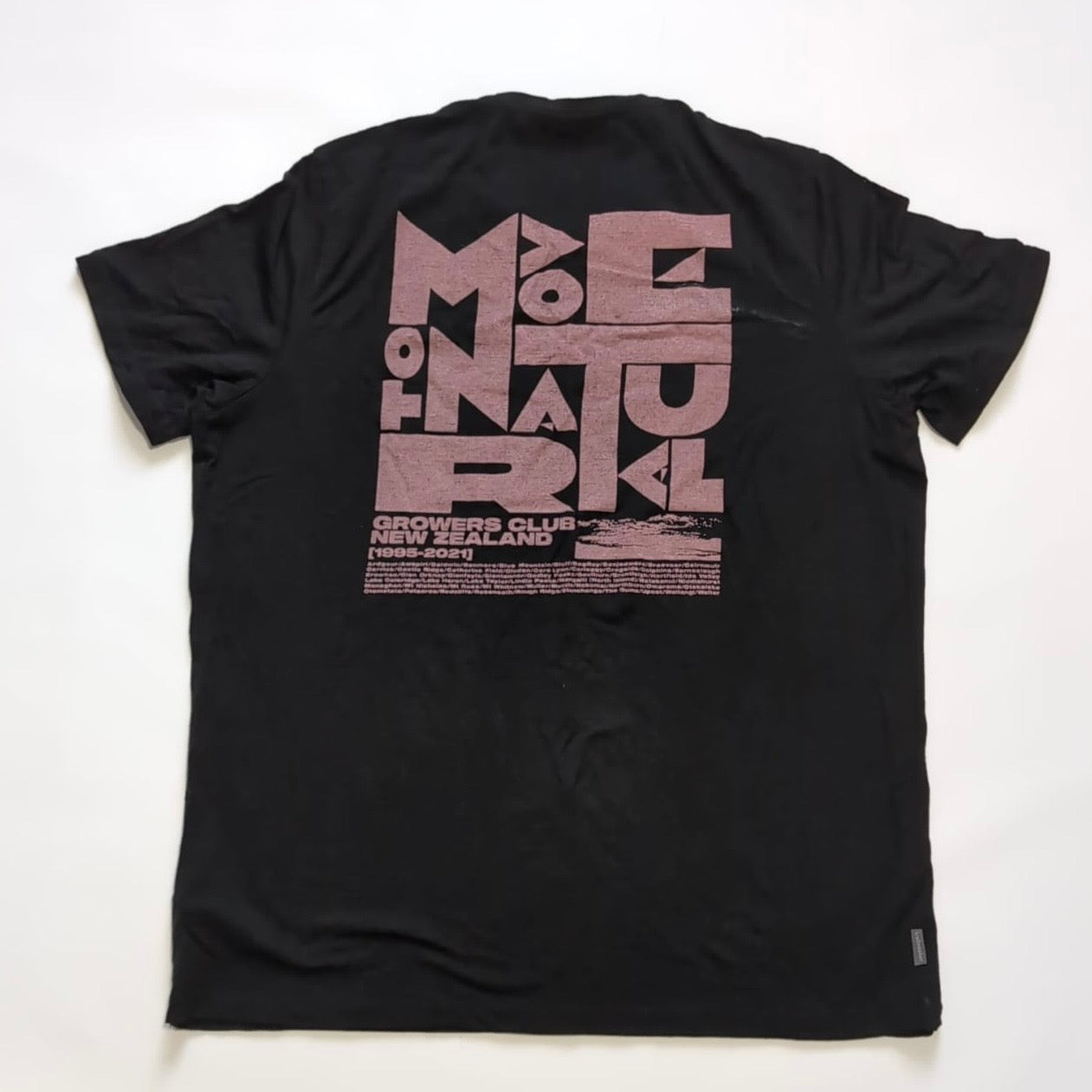 T-Shirt von Icebreaker (XL Herren) Merino schwarz Backprint