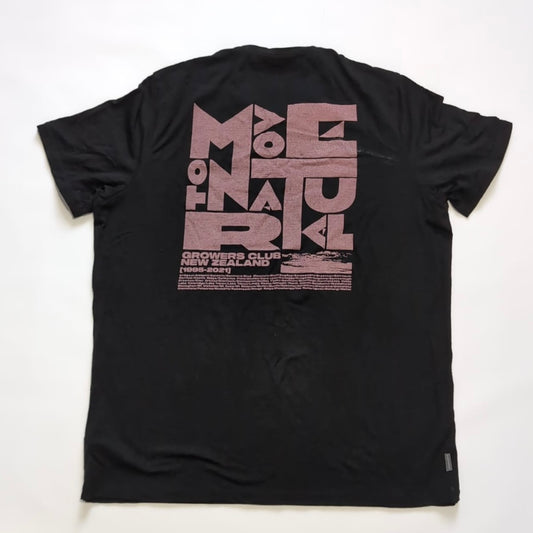 T-Shirt von Icebreaker (XL Herren) Merino schwarz Backprint