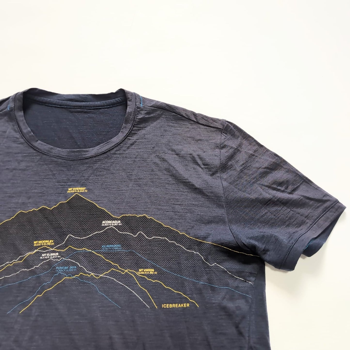 Merino T-Shirt von Icebreaker (M Herren) blau Print MT Everest