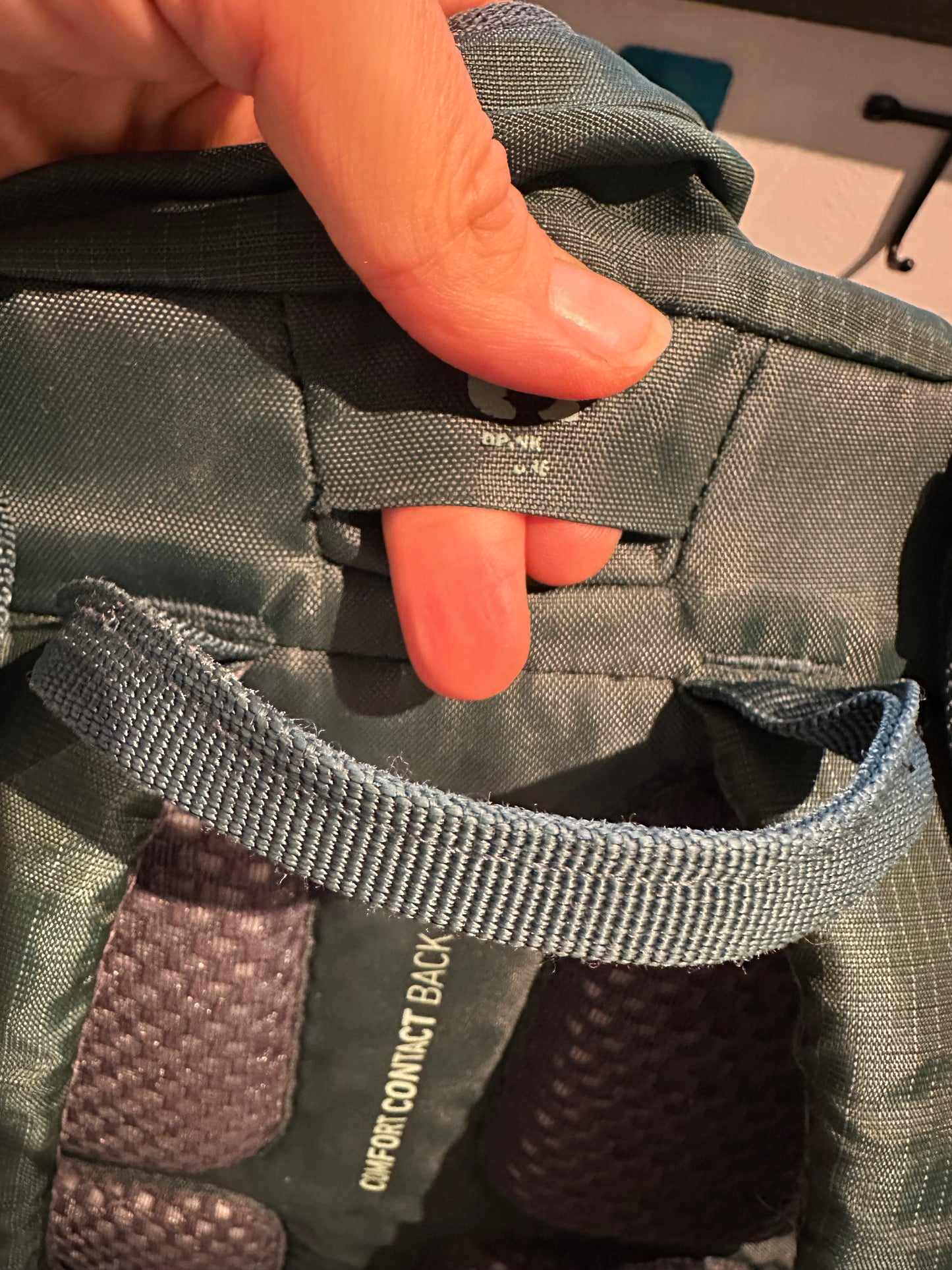 Rucksack Ortovox Traverse 20 Liter grün