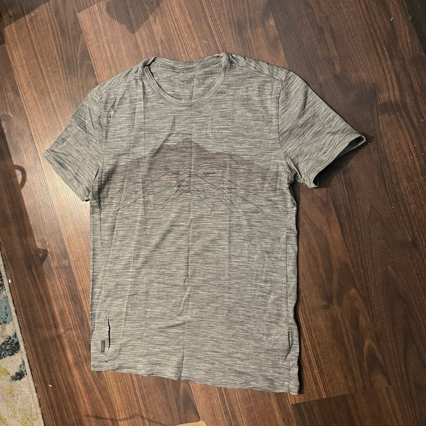 T-Shirt von Icebreaker Merino (S Herren) grau Print Berge