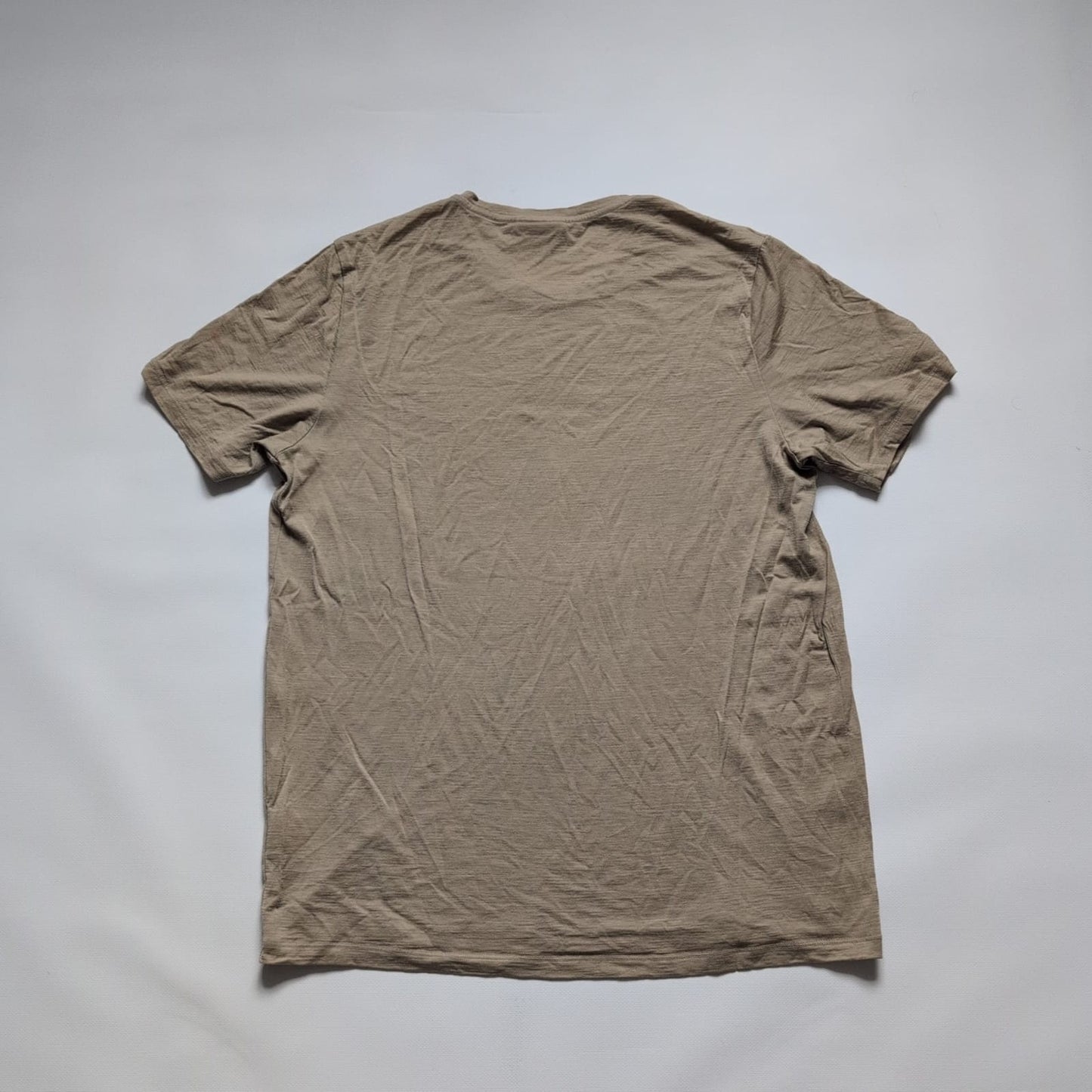 T-Shirt von Icebreaker Merino (L Herren) beige