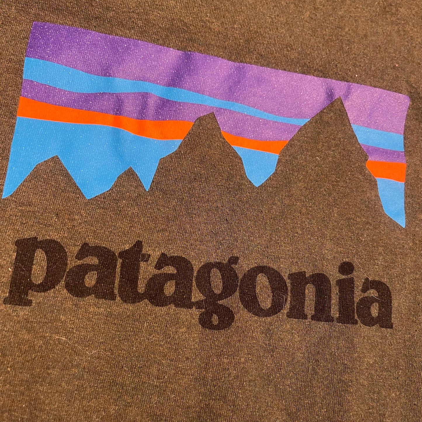 Longsleeve von Patagonia (XXL Herren) grün mit Brustprint