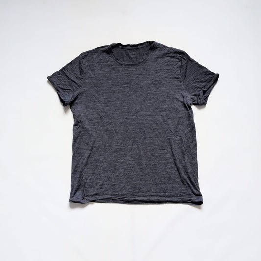 Merino T-Shirt von Icebreaker (L Herren) grau