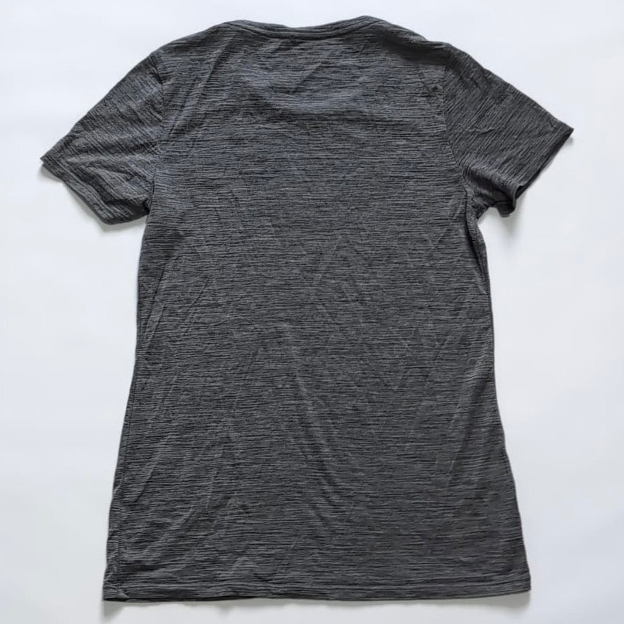 T-Shirt von Icebreaker Merino (S bis M Damen) grau - Print Camper