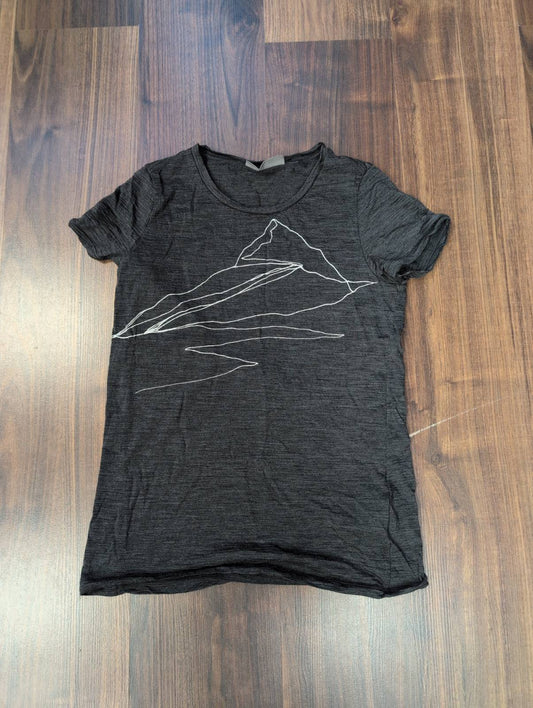 T-Shirt von Icebreaker Merino (S Damen) grau Print