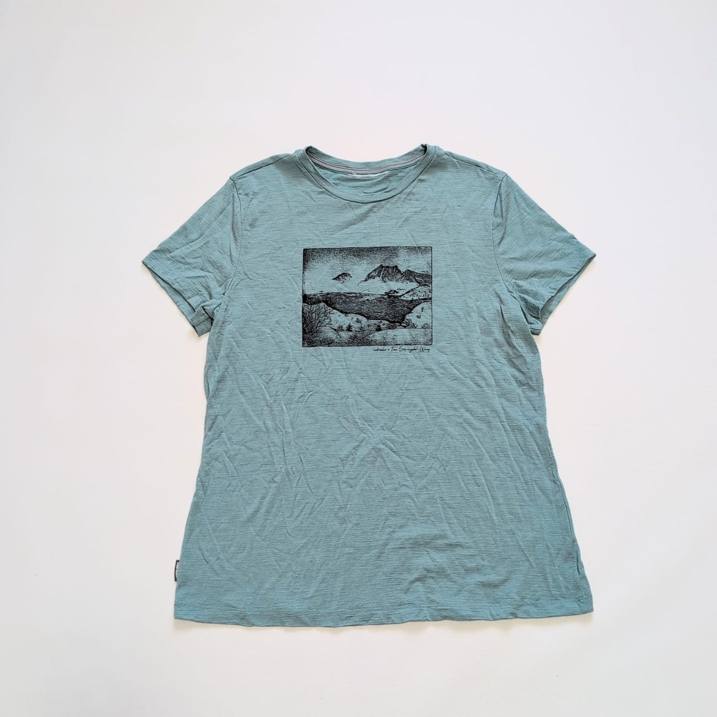 Merino T-Shirt von Icebreaker (M Damen) türkis Print Berge