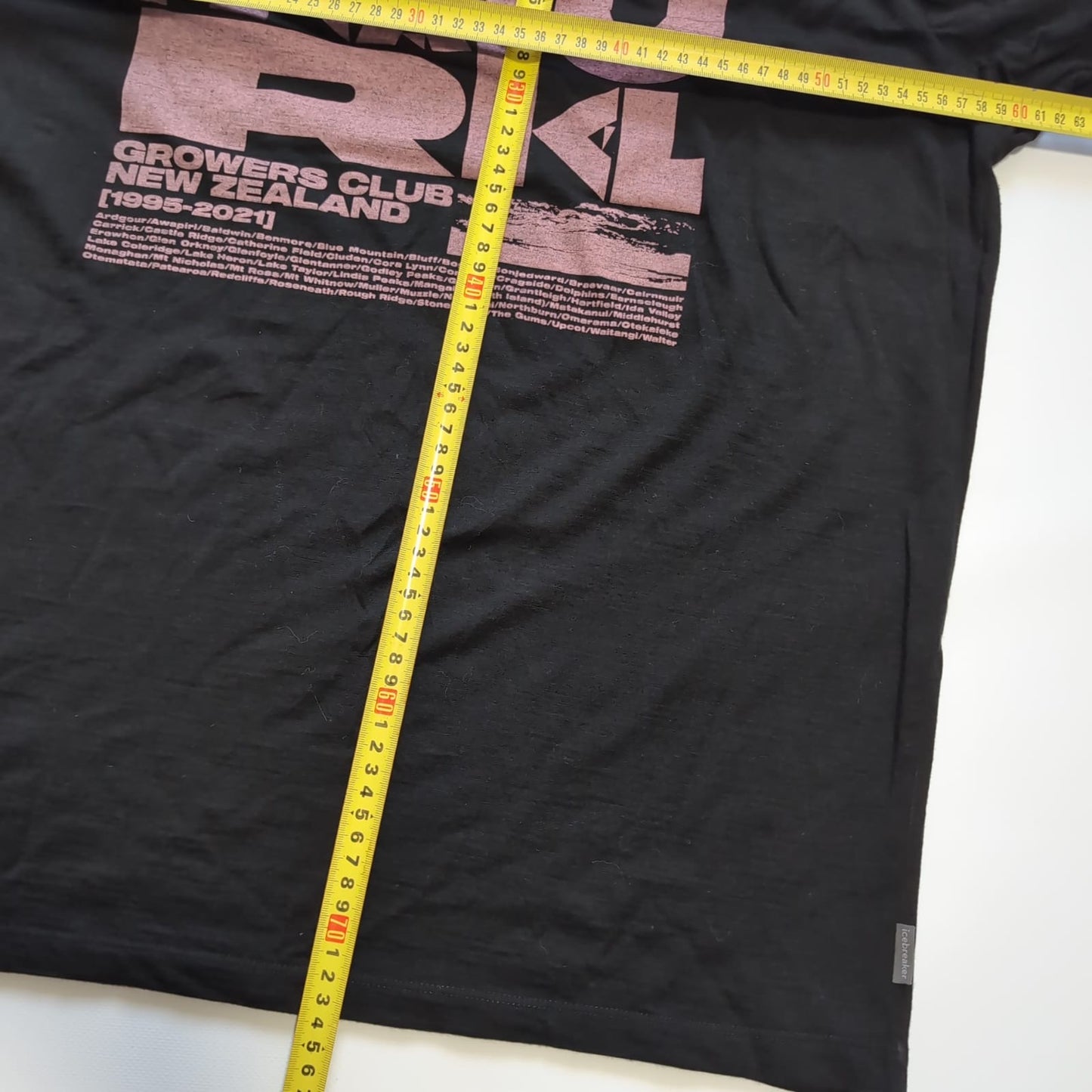T-Shirt von Icebreaker (XL Herren) Merino schwarz Backprint