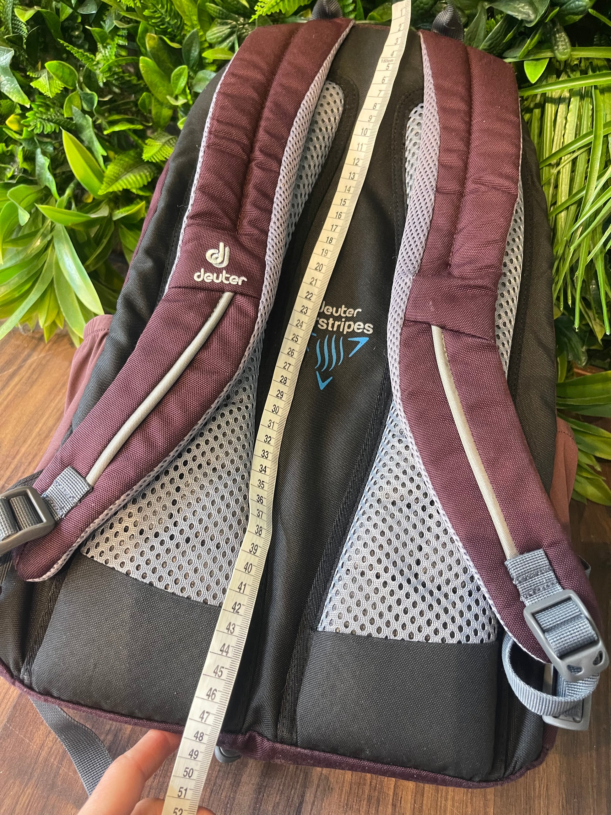 Deuter Rucksack beerenfarbig AirStripes - wanderlich.com