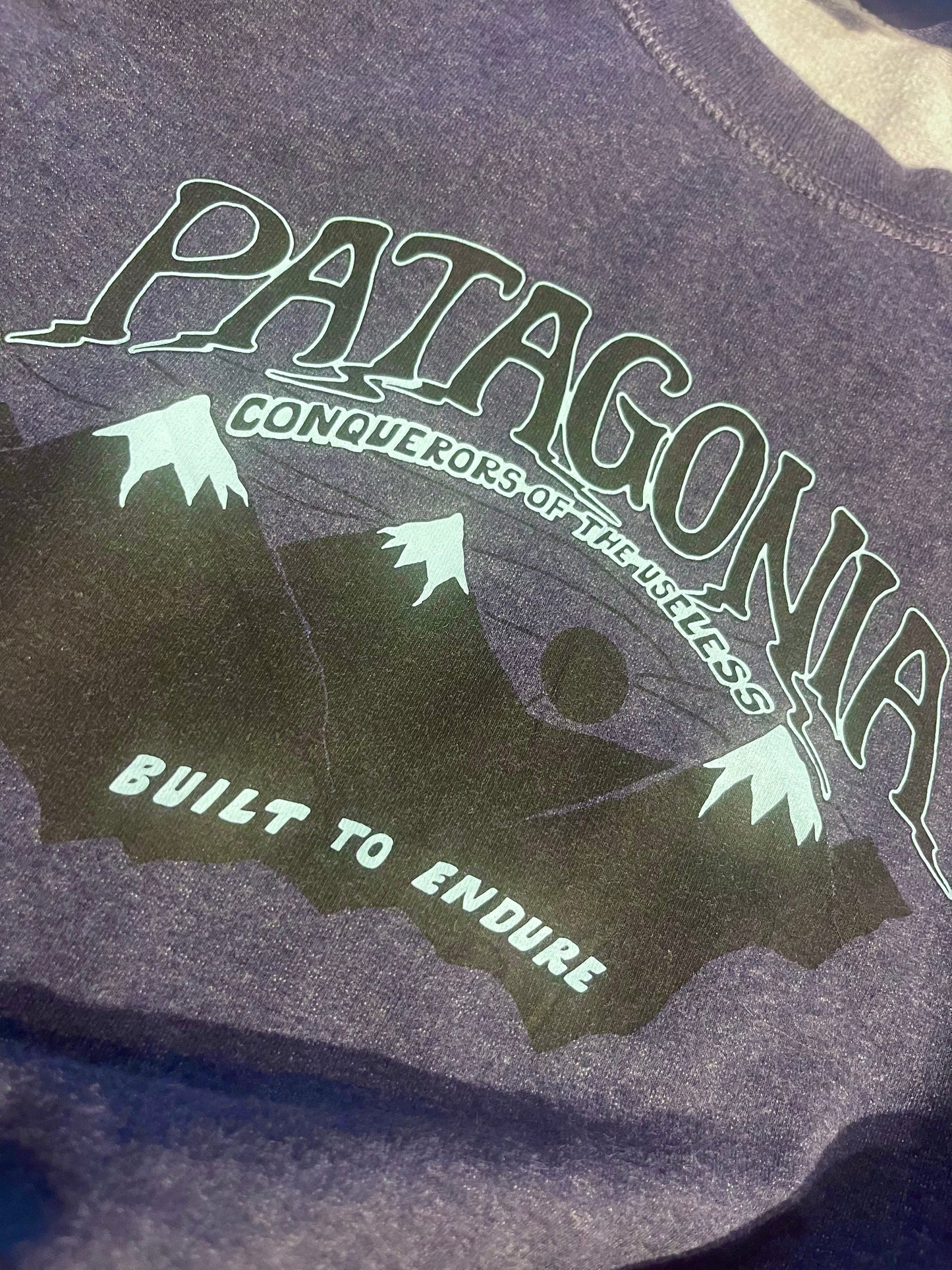 Pullover Patagonia (M Herren) Brustprint Bio-Baumwolle grau