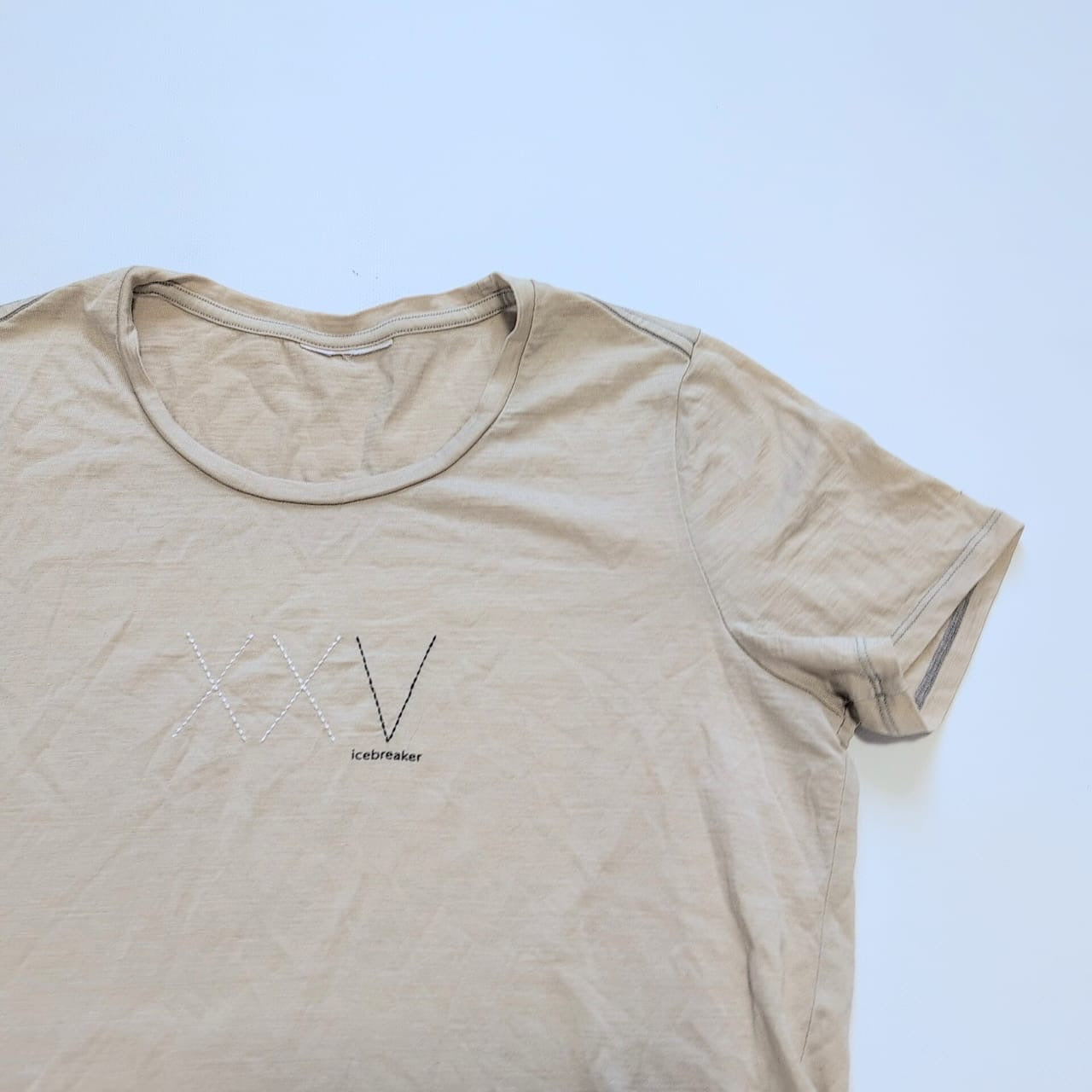 T-Shirt von Icebreaker Merino (L Damen) beige