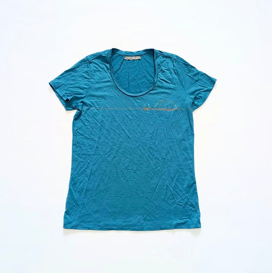 T-Shirt von Icebreaker Merino (L Damen) blau mit Print