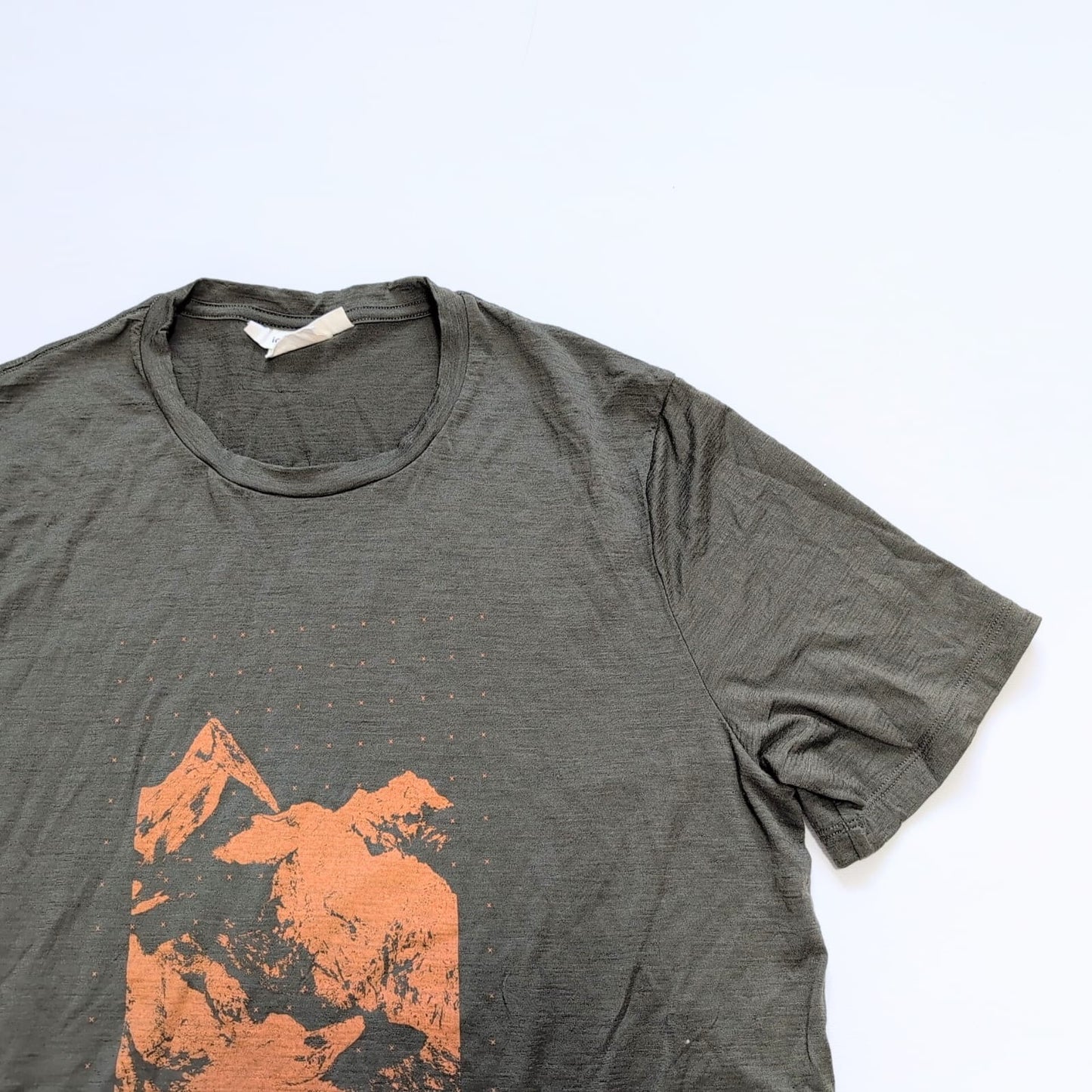 Merino T-Shirt von Icebreaker 150 (M Herren) khaki mit Print