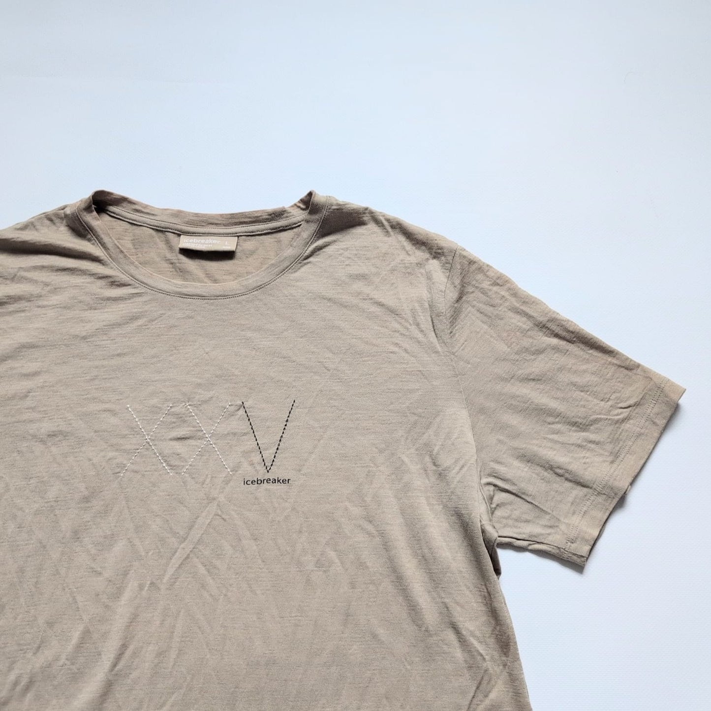 T-Shirt von Icebreaker Merino (L Herren) beige