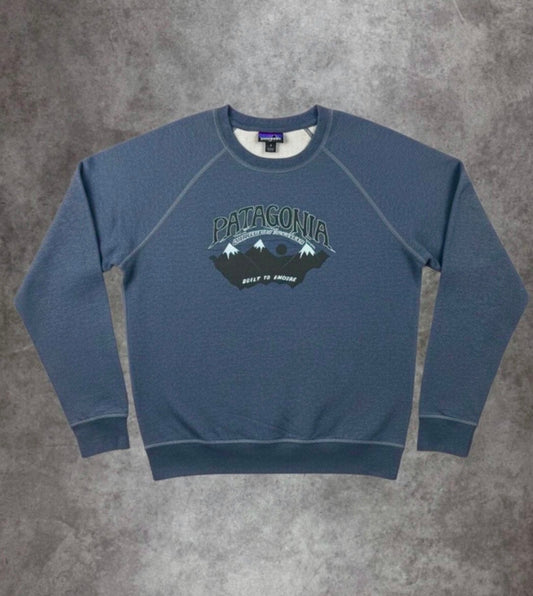 Pullover Patagonia (M Herren) Brustprint Bio-Baumwolle grau