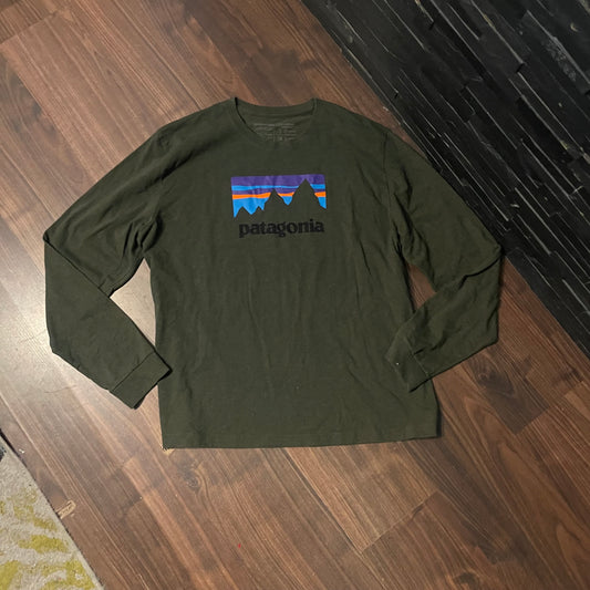 Longsleeve von Patagonia (XXL Herren) grün mit Brustprint