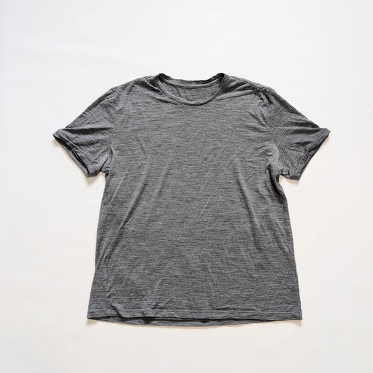 Pure Merino T-Shirt Icebreaker (XL Herren) Bodyfit grau - wanderlich.com