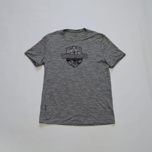 Merino T-Shirt von Icebreaker (M Herren) grau mit Print Berge