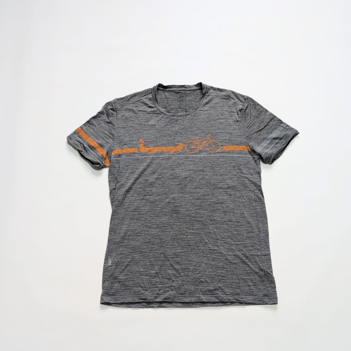 T-Shirt von Icebreaker Merino (S Herren) grau Print