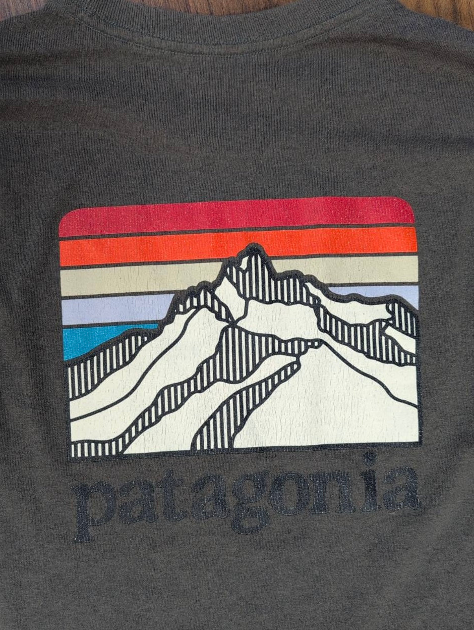 Longsleeve Patagonia (M Herren) Rückenprint Bio-Baumwolle grau