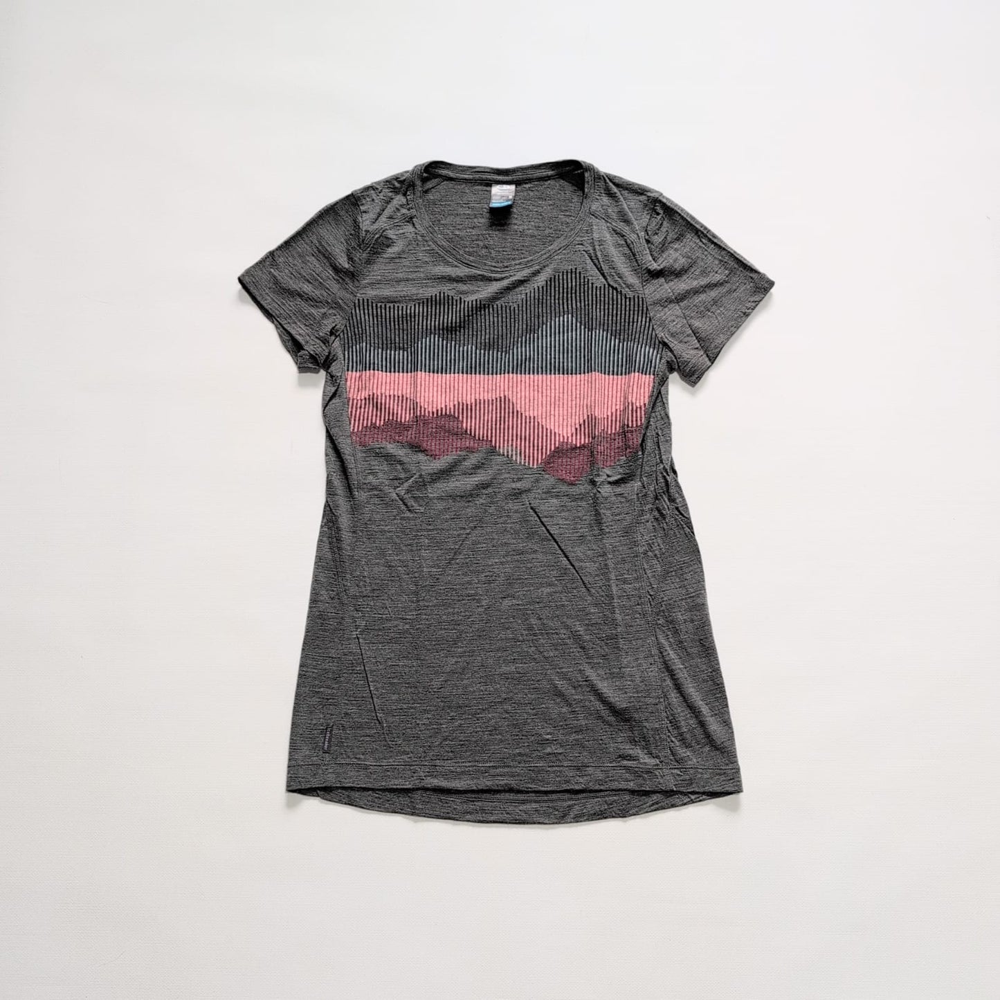 Merino T-Shirt Icebreaker cool lite (Damen S) grau rosa