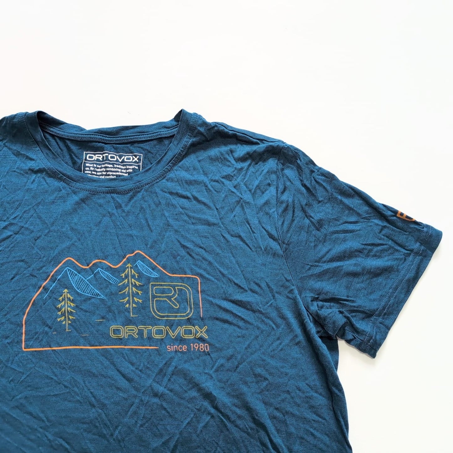 Merino T-Shirt von Ortovox (M Herren) blau mit Print