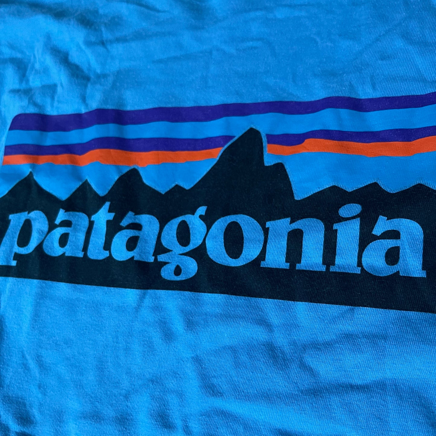 Longsleeve Herren S Patagonia blau mit Backprint