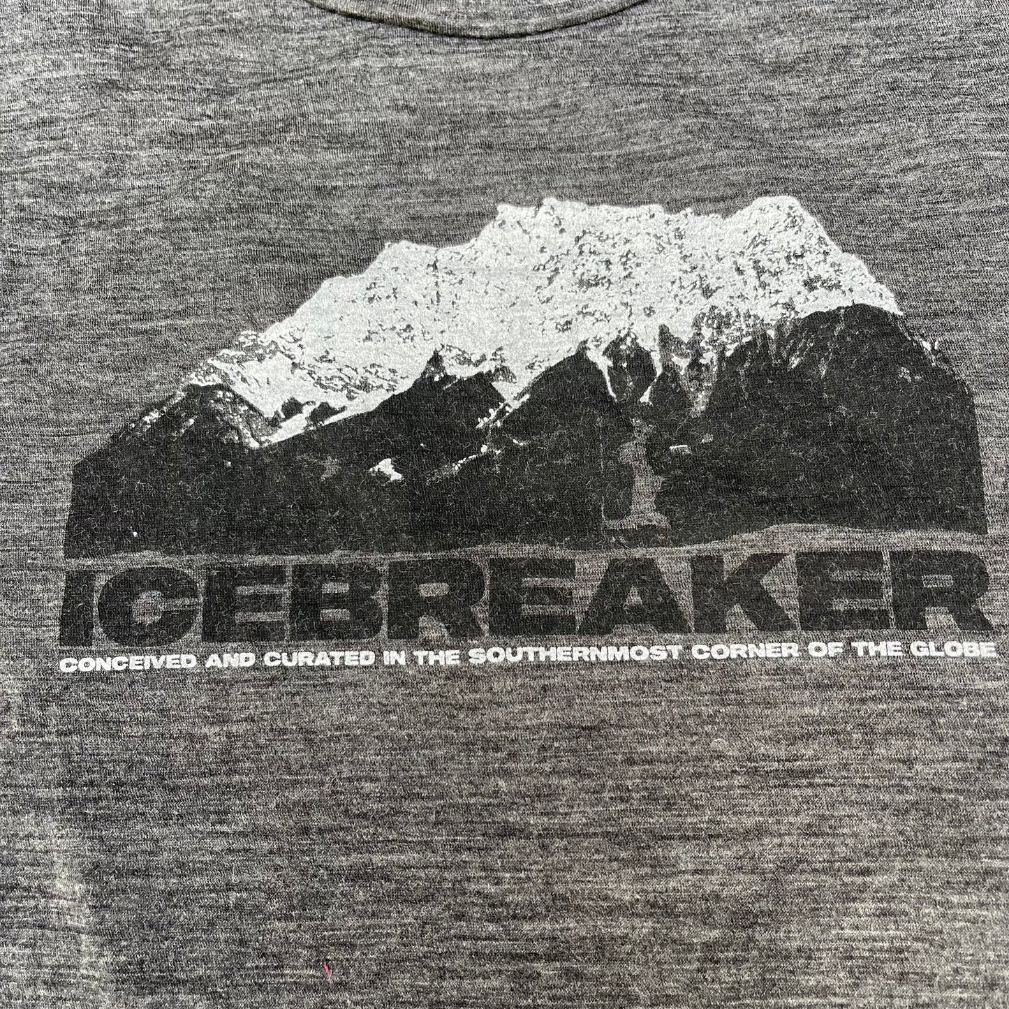 T-Shirt von Icebreaker Merino (M Damen) grau mit Print