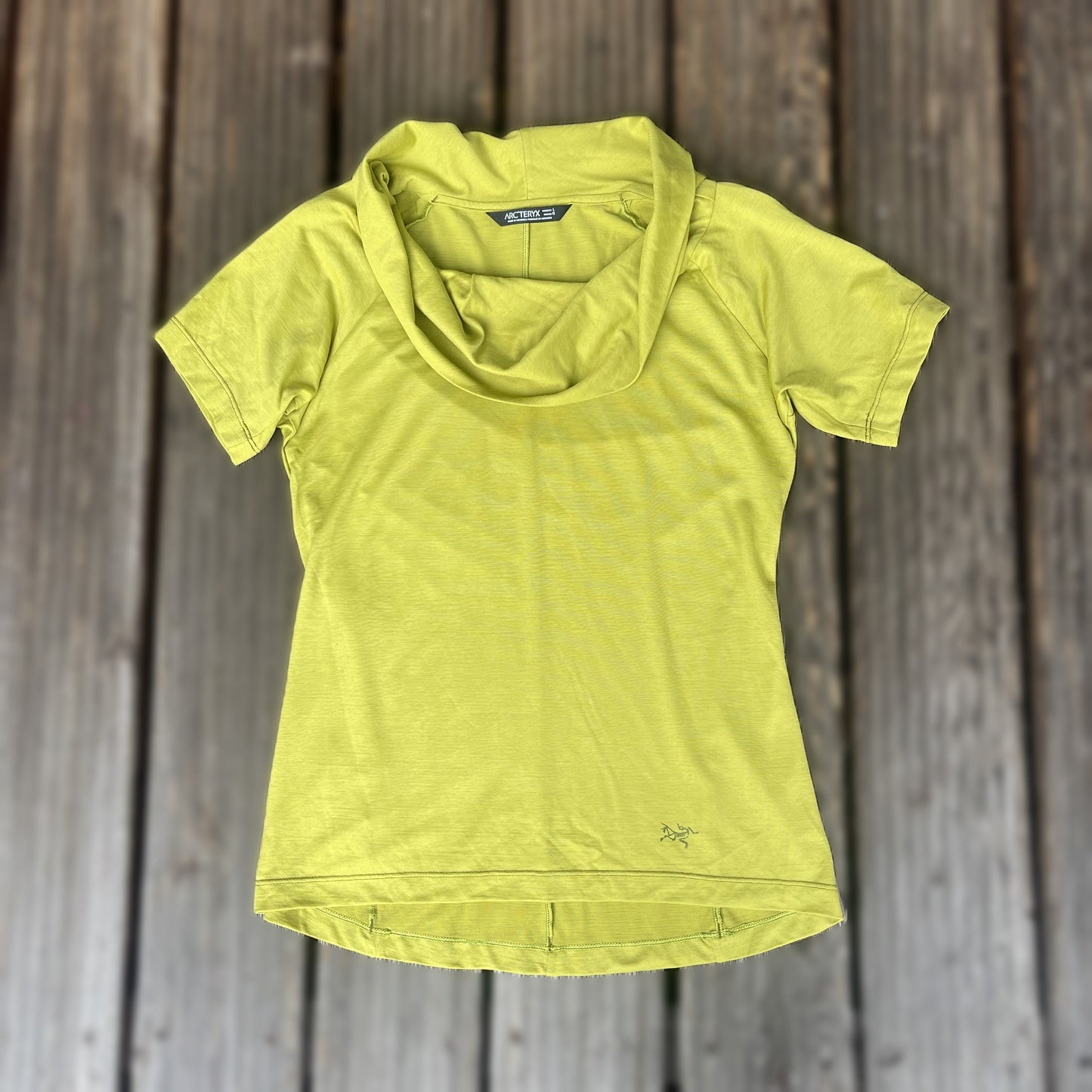 Shirt Damen L von Arcteryx grün